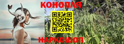 сатива Обнинск