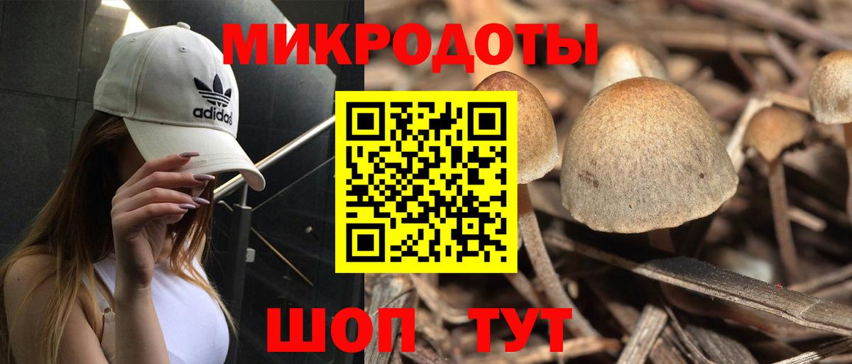 Рыбинск  Галлюциногенные грибы Magic Shrooms  Вход с VPN 